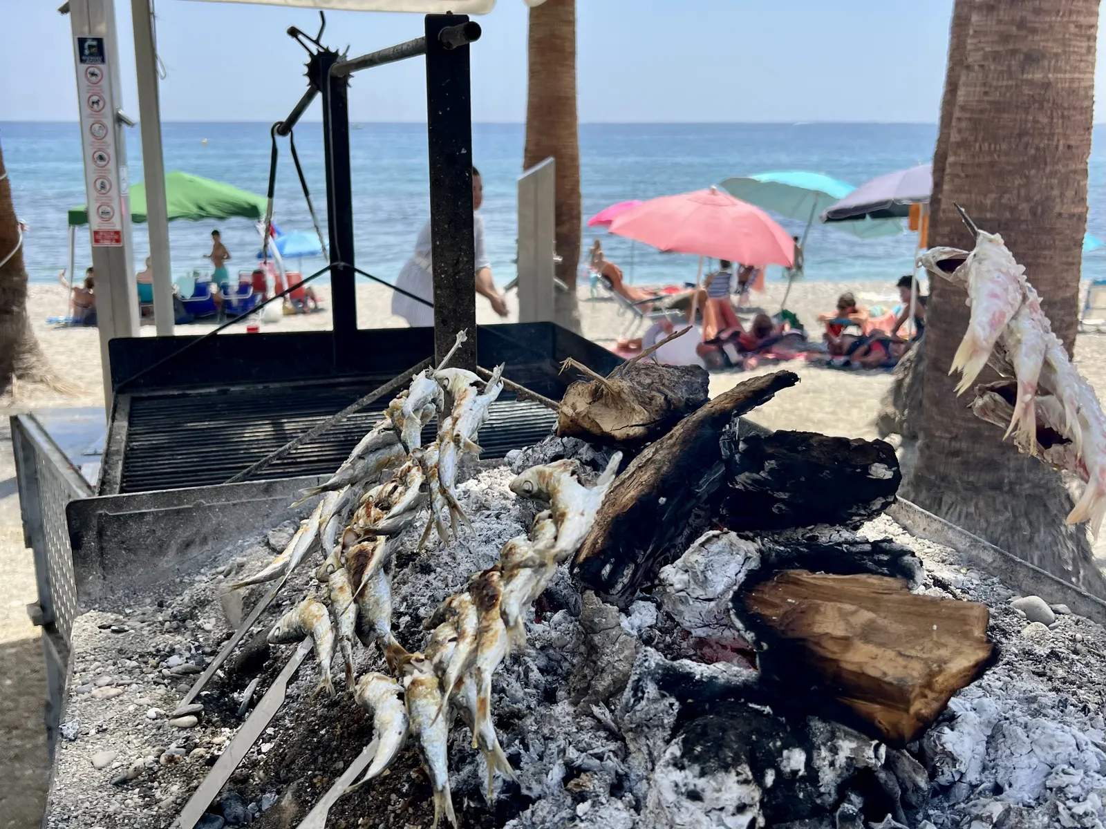 Gastronomía típica de Nerja: espetos y pescado fresco